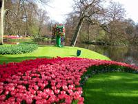 Im Keukenhof &ndash; &copy; Steffen Mucke (Eberhardt TRAVEL)