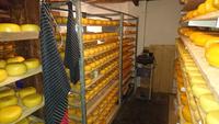 Käse im Überfluss im Käse- und Holzschuhhof Rembrandt Hoeve &ndash; &copy; Stefan Jahnke (Eberhardt TRAVEL)