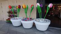 Etwas groß zum Mitnehmen - auf dem Keukenhof &ndash; &copy; Stefan Jahnke (Eberhardt TRAVEL)