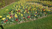Bunt und schön auf dem Keukenhof &ndash; &copy; Stefan Jahnke (Eberhardt TRAVEL)