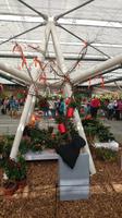 Gestaltungsideen auf dem Keukenhof &ndash; &copy; Stefan Jahnke (Eberhardt TRAVEL)