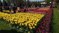 Menschen und Blumen auf dem Keukenhof &ndash; &copy; Stefan Jahnke (Eberhardt TRAVEL)