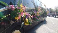Selbst die Busse des Blumenkorsos 2018 sind geschlückt