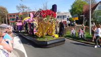 Viele Wagen sind unterwegs beim Blumenkorso 2018