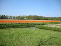 Blumencorso &ndash; &copy; Harald Kühne (Eberhardt TRAVEL)