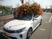 Blumencorso &ndash; &copy; Harald Kühne (Eberhardt TRAVEL)