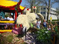 Blumencorso