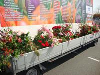 Blumencorso &ndash; &copy; Harald Kühne (Eberhardt TRAVEL)