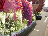 Blumencorso &ndash; &copy; Harald Kühne (Eberhardt TRAVEL)