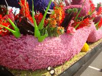 Blumencorso &ndash; &copy; Harald Kühne (Eberhardt TRAVEL)