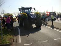 Blumencorso &ndash; &copy; Harald Kühne (Eberhardt TRAVEL)