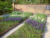 Keukenhof