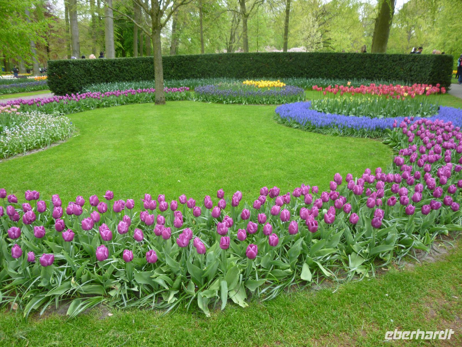 Keukenhof &ndash; &copy; Grit Wendelberger (Eberhardt TRAVEL)