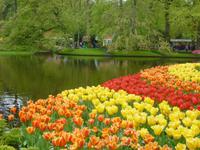 Keukenhof &ndash; &copy; Grit Wendelberger (Eberhardt TRAVEL)