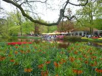 Keukenhof &ndash; &copy; Grit Wendelberger (Eberhardt TRAVEL)