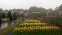 Lissse, Keukenhof