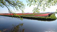 Blumenfelder vor dem Keukenhof &ndash; &copy; Stefan Jahnke (Eberhardt TRAVEL)