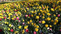 Bunte Mischung &ndash; &copy; Stefan Jahnke (Eberhardt TRAVEL)