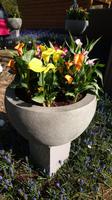 Ob Beet oder Kübel - überall Blumen &ndash; &copy; Stefan Jahnke (Eberhardt TRAVEL)