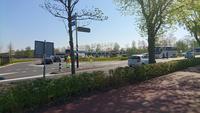 Voller Parkplatz am Keukenhof &ndash; &copy; Stefan Jahnke (Eberhardt TRAVEL)