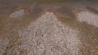 Muscheln und Meer &ndash; &copy; Stefan Jahnke (Eberhardt TRAVEL)
