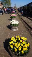 Blumenkübel beim Fotostopp &ndash; &copy; Stefan Jahnke (Eberhardt TRAVEL)