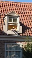 ...er lässt es sich gut gehen...in Enkhuizen &ndash; &copy; Stefan Jahnke (Eberhardt TRAVEL)