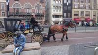 Auch Kutschen fahren im Amsterdam &ndash; &copy; Stefan Jahnke (Eberhardt TRAVEL)