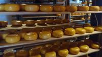 Käse muss lagern &ndash; &copy; Stefan Jahnke (Eberhardt TRAVEL)