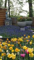 Interessante Kombinationen auf dem Keukenhof &ndash; &copy; Stefan Jahnke (Eberhardt TRAVEL)