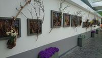 Trocken-Frisch-Gestaltung auf dem Keukenhof &ndash; &copy; Stefan Jahnke (Eberhardt TRAVEL)