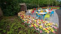Imbiss-Sitzecke auf dem Keukenhof &ndash; &copy; Stefan Jahnke (Eberhardt TRAVEL)
