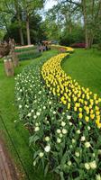Kunst und Blumen auf dem Keukenhof &ndash; &copy; Stefan Jahnke (Eberhardt TRAVEL)