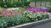 Geniale Gartengestaltung auf dem Keukenhof &ndash; &copy; Stefan Jahnke (Eberhardt TRAVEL)