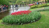 Wasser zum Begehen auf dem Keukenhof &ndash; &copy; Stefan Jahnke (Eberhardt TRAVEL)