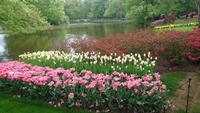 Überall etwas zu entdecken auf dem Keukenhof &ndash; &copy; Stefan Jahnke (Eberhardt TRAVEL)