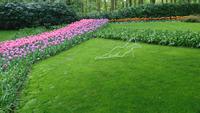 Die Ruhende auf dem Keukenhof &ndash; &copy; Stefan Jahnke (Eberhardt TRAVEL)