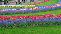 Viel gibt es zu sehen auf dem Keukenhof &ndash; &copy; Stefan Jahnke (Eberhardt TRAVEL)