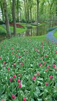 Überall Gestaltungselemente auf dem Keukenhof &ndash; &copy; Stefan Jahnke (Eberhardt TRAVEL)