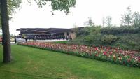 Zurück am Ausgang auf dem Keukenhof &ndash; &copy; Stefan Jahnke (Eberhardt TRAVEL)