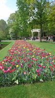Noch ein Blick zurück auf dem Keukenhof &ndash; &copy; Stefan Jahnke (Eberhardt TRAVEL)