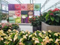 Floriade 2022 in Almere &ndash; &copy; Steffi Zimmermann (Eberhardt TRAVEL)