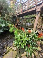 Orchideen Hoeve &ndash; &copy; Steffi Zimmermann (Eberhardt TRAVEL)