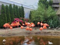 Orchideen Hoeve