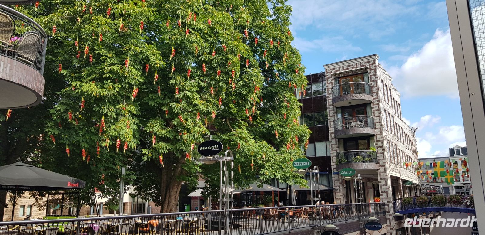 Nijmegen - Fußgängerzone mit dem Gladiolenbaum.jpg &ndash; &copy; Marion Kottlos (Eberhardt TRAVEL)