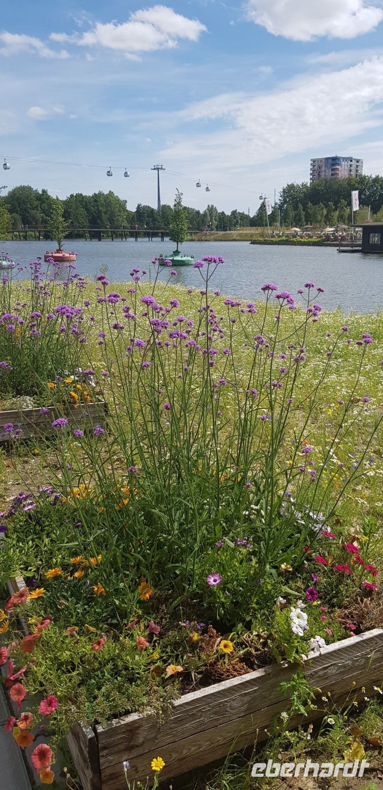 Floriade 2022.jpg &ndash; &copy; Marion Kottlos (Eberhardt TRAVEL)