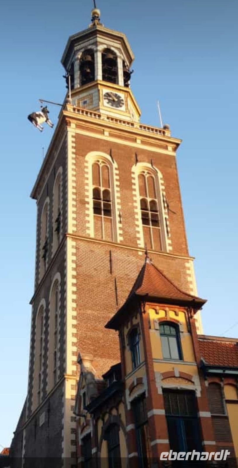 Abendspaziergang in Kampen - Neuer Turm mit Kuh.jpg &ndash; &copy; Marion Kottlos (Eberhardt TRAVEL)