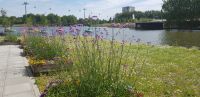 Floriade 2022.jpg &ndash; &copy; Marion Kottlos (Eberhardt TRAVEL)