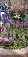 Floriade 2022.jpg &ndash; &copy; Marion Kottlos (Eberhardt TRAVEL)