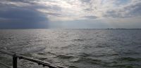 Auf dem Markermeer.jpg